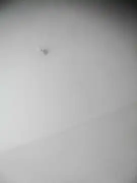 bestofyalcinturkey online show from December 2024 12:49:01 PM