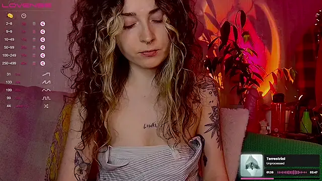 IttyKitty online show from February 2026 11:55:02 PM