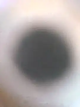 erbod Johnny online show from January 2026 12:14:02 AM