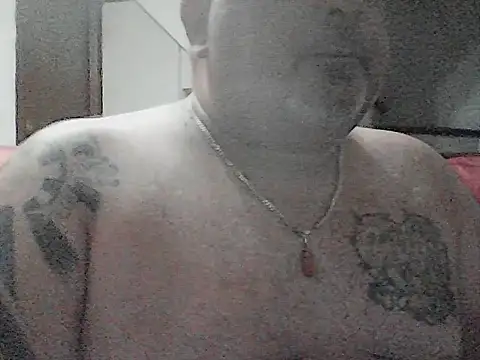 Paolino 8316 online show from July 2026 11:14:01 PM