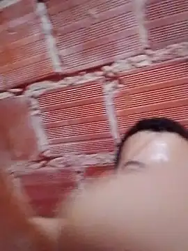 w31 online show from November 2025 01:55:02 AM