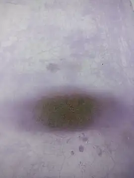 Kannadaboymanu online show from March 2025 04:59:02 PM