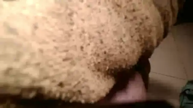 Dan3106x online show from March 2026 07:07:02 PM