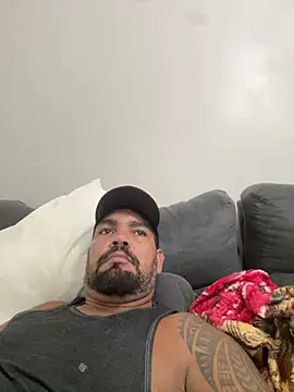 Snapshot of adgato chatting on February 2026 08:17:02 PM adgato online show from February 2026 08:17:02 PM