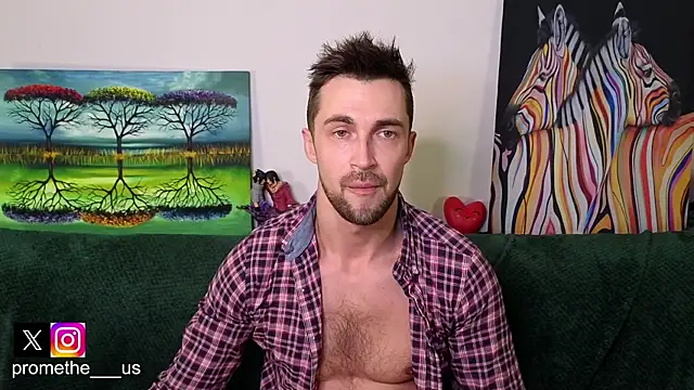 Snapshot of Promethe_us chatting on February 2026 03:19:01 PM Promethe us online show from February 2026 03:19:01 PM