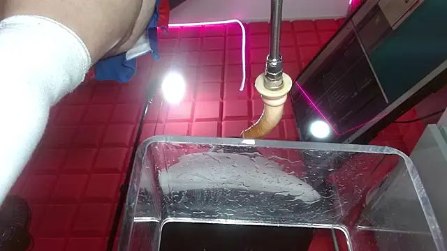 Snapshot of sammyEvans__ chatting on February 2026 09:34:01 PM sammyEvans online show from February 2026 09:34:01 PM