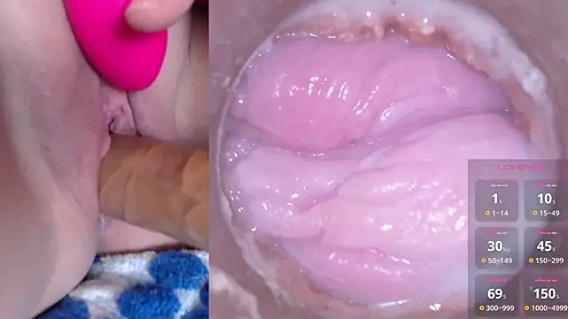 danigirl866 online show from December 2024 02:01:02 AM