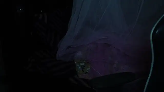 -AyeshaSinghania- online show from November 2025 06:23:02 PM