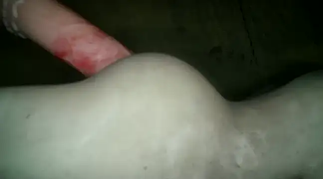 Snapshot of xxxlecram chatting on January 2025 12:09:01 PM xxxlecram online show from January 2025 12:09:01 PM