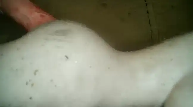 Snapshot of xxxlecram chatting on March 2025 09:48:02 PM xxxlecram online show from March 2025 09:48:02 PM