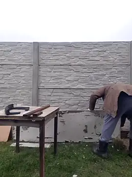 Pandasky online show from February 2025 11:32:02 AM