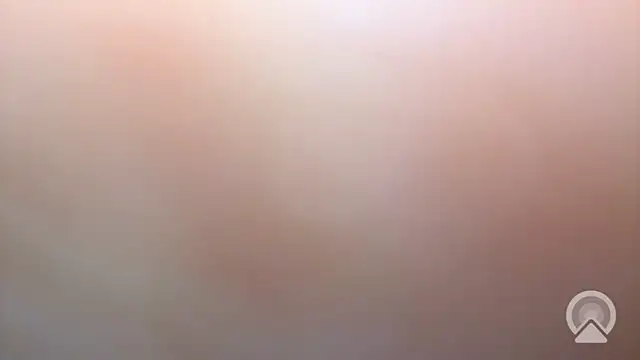 Aulonocara86 online show from December 2025 06:52:01 AM