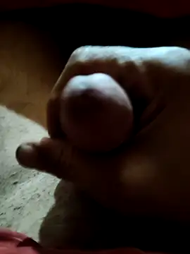 Awadalieid online show from January 2026 08:44:02 PM