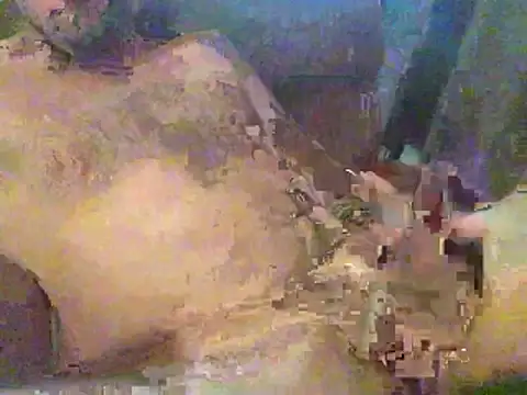 Snapshot of timmy88809 chatting on February 2026 04:47:02 PM timmy88809 online show from February 2026 04:47:02 PM