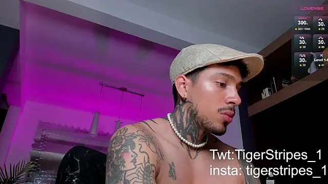 TigerStripes1  online show from February 2025 10:32:01 PM