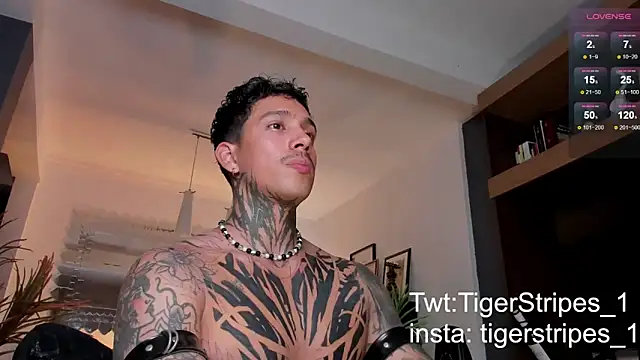 TigerStripes1  online show from February 2025 01:11:02 AM