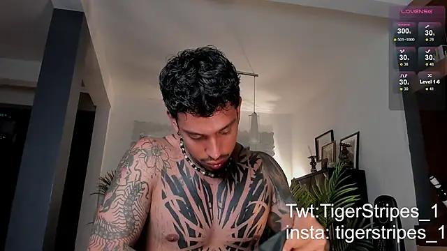 TigerStripes1  online show from February 2025 12:43:01 AM