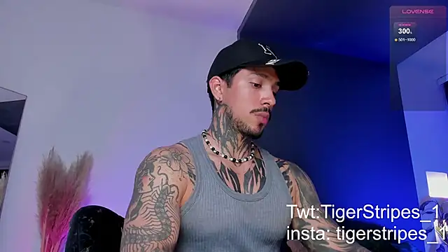 TigerStripes1  online show from March 2025 12:59:01 AM