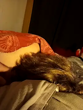 PIercingBoy38 online show from November 2025 09:16:01 PM