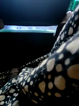 Kolkata   Boy online show from December 2024 02:20:02 AM